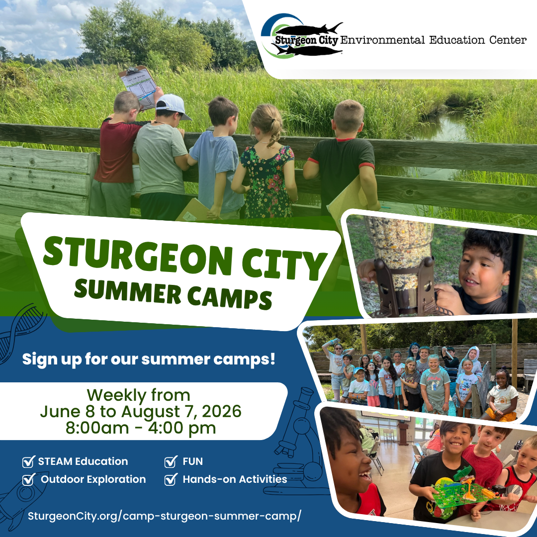 2026 Summer Camp (1)